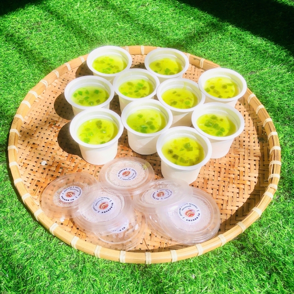 Set 10 sữa chua phô mai Mix vị Kiwi